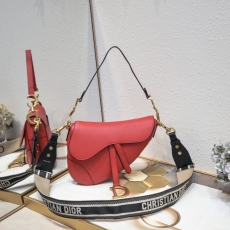 Dior Saddle Bags